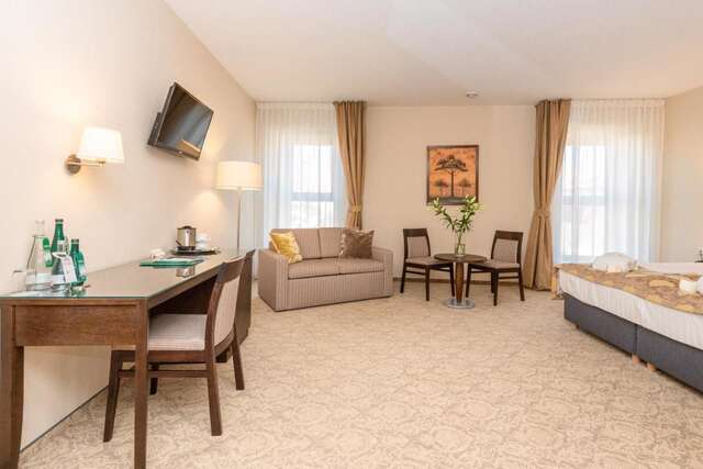 Отель Euterpe Hotel Клайпеда-17